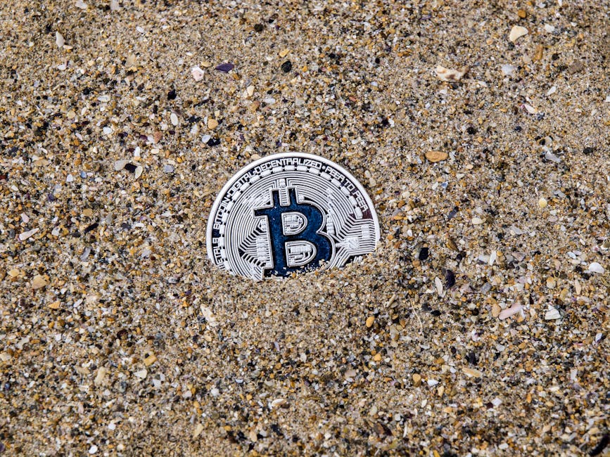 How to Approach These Opportunities: Practical Steps