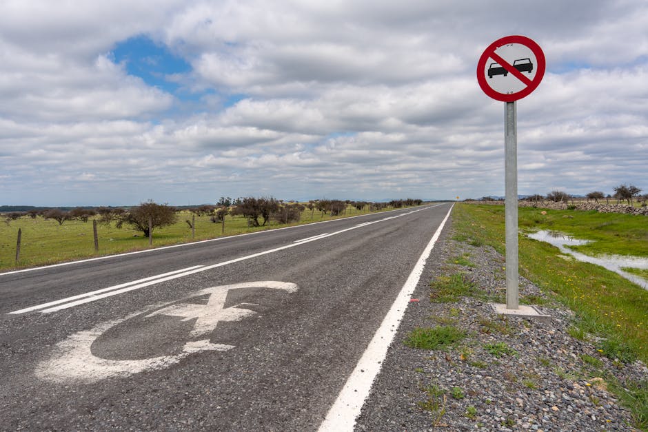 Risks, Regulatory Context, and the Road Ahead