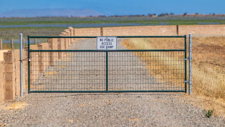 Open Versus Restricted Access