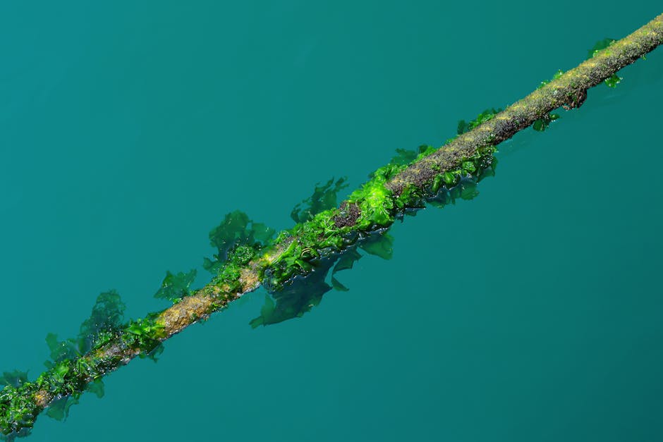 The Kelp DAO Context: Accountability, Hacks, and the Call for Change