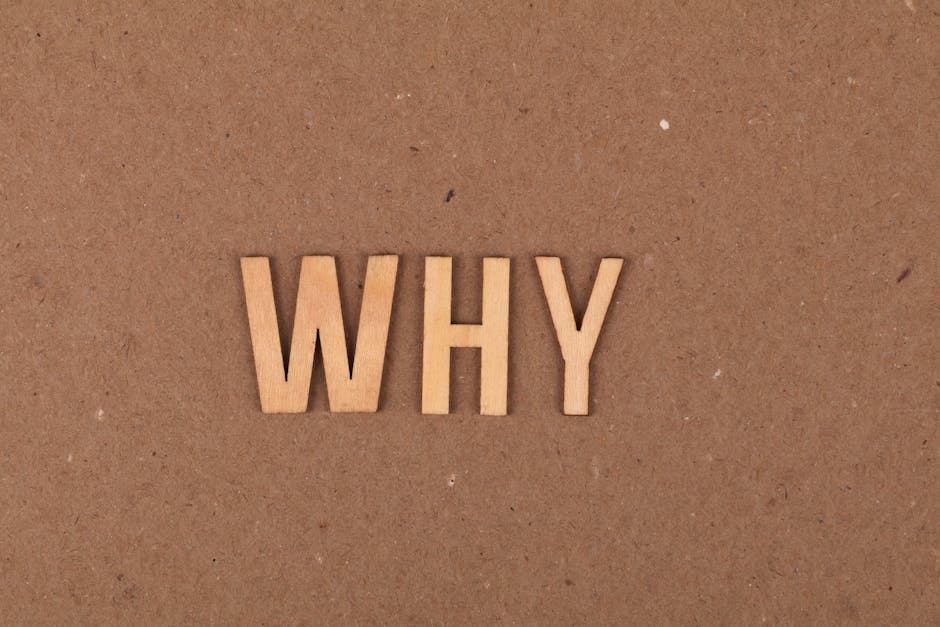 The Core Narrative: Why Investors Are Worried (Or Not)