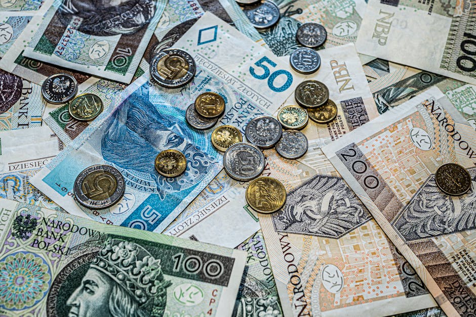 Concrete Steps for Excited Policy Debates to Move Forward