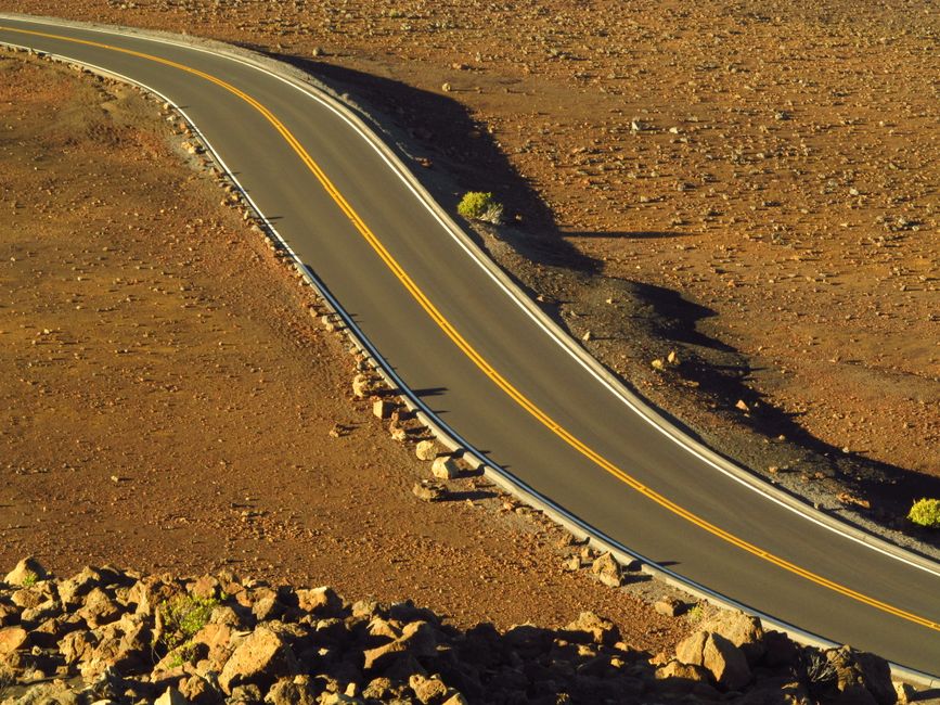 Risks and Opportunities for the Road Ahead