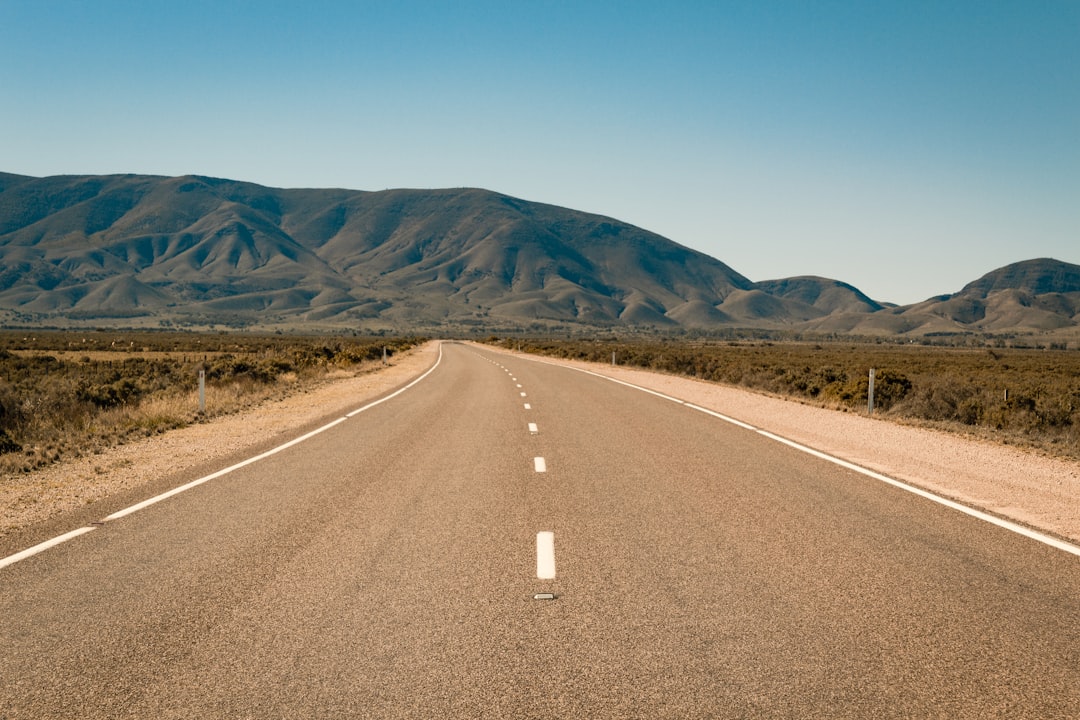 The Road Ahead: Signals to Watch This Summer