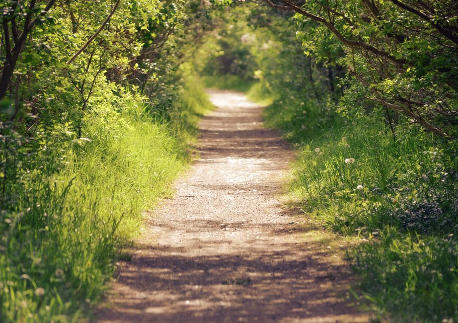 The path forward for the S&P 500