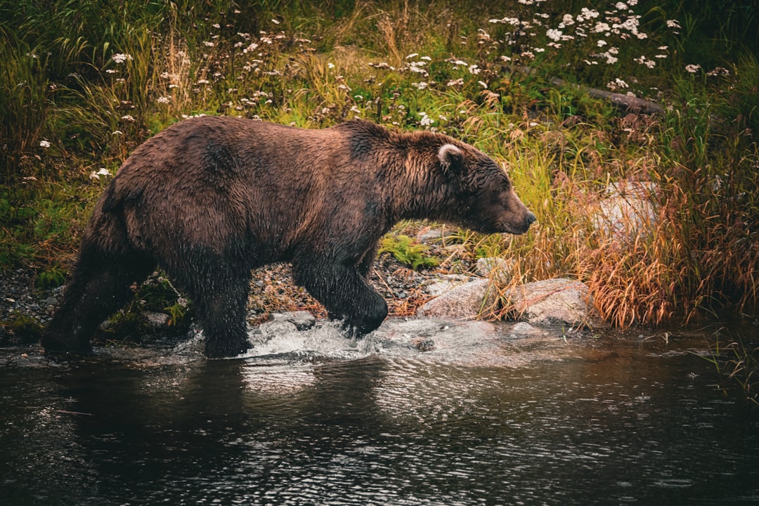 The Bear Case: Why Some See Slower Upside