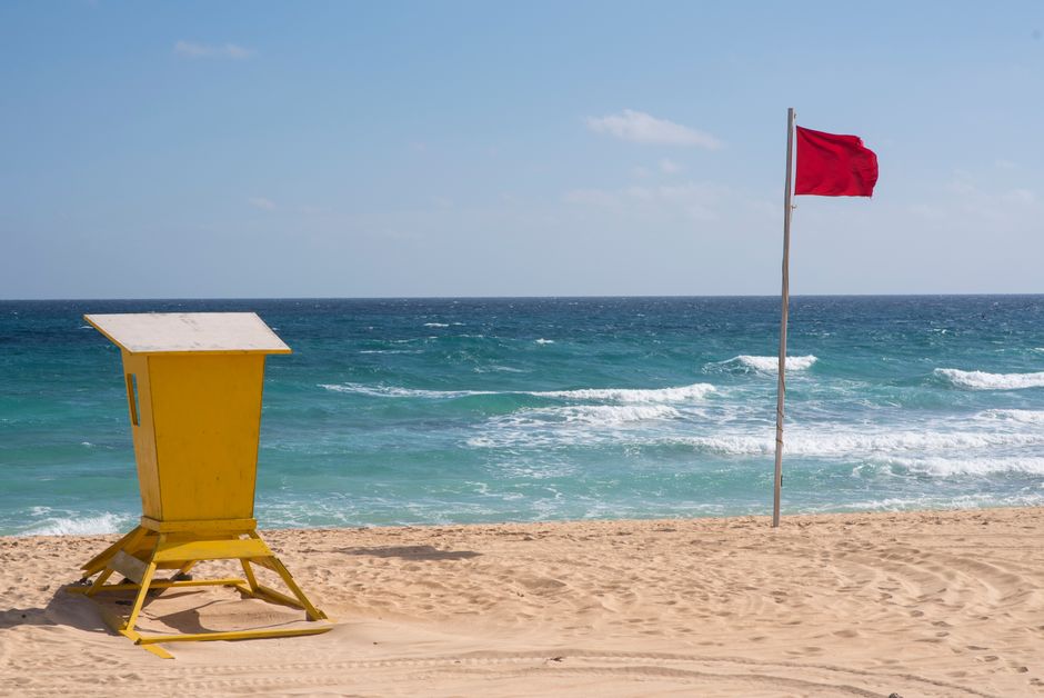 Risks and Red Flags