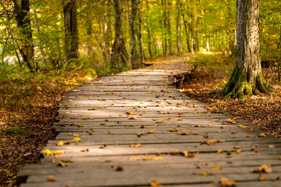The Path Forward: What Has to Happen Next