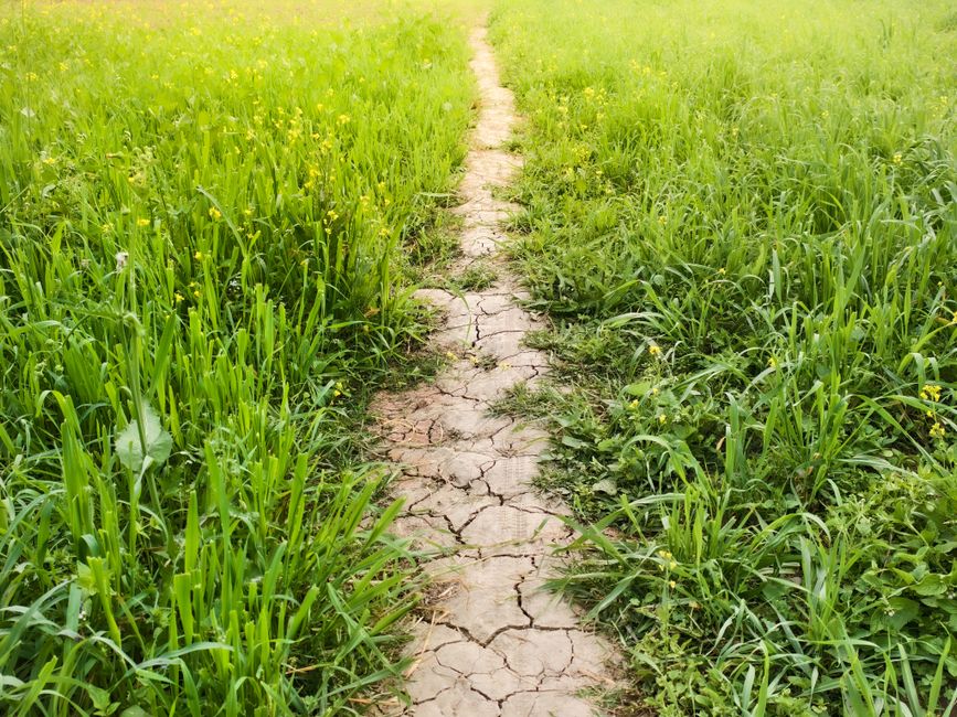 Why These Distinct Paths Matter