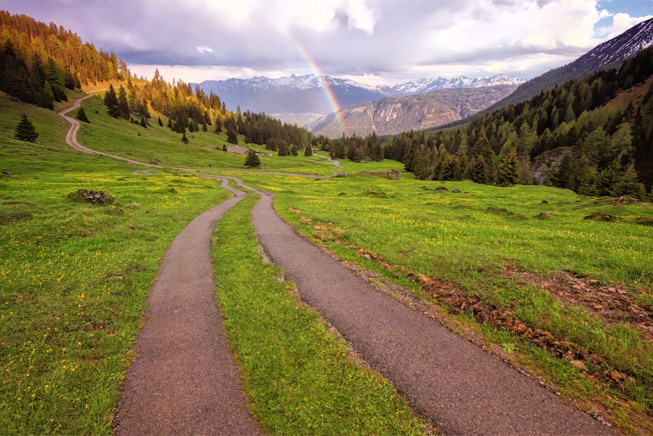 Guidance, Expectations, And The Path Ahead