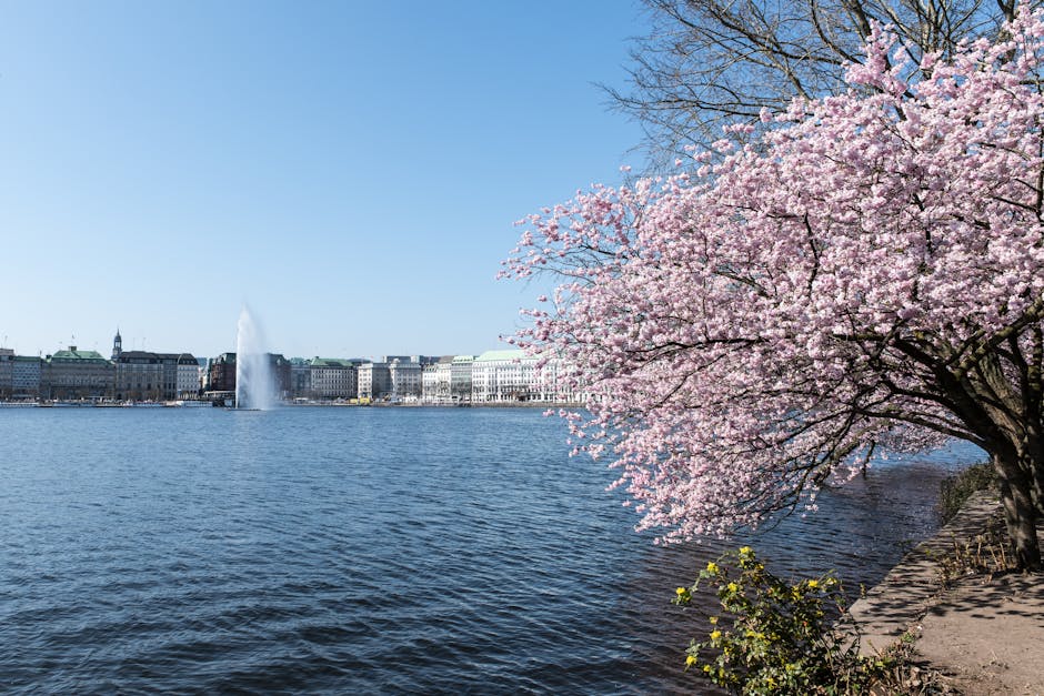 Two Real World Scenarios In A Spring Market Gets Rocky