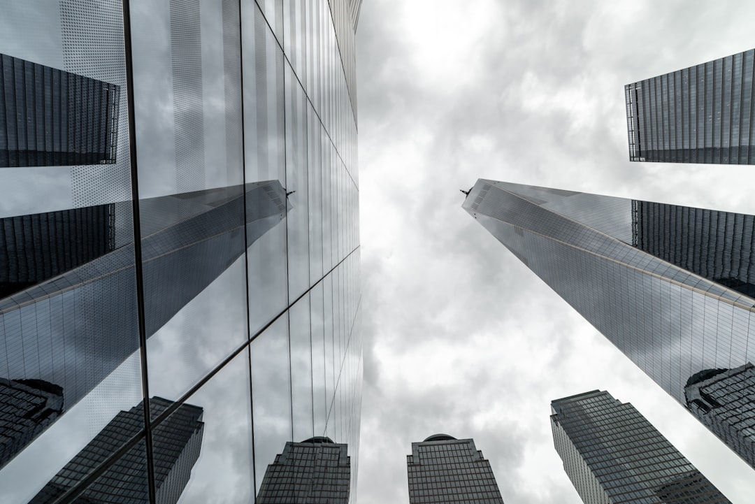 Stability vs Tech-Focused Growth: How They Behave in Different Markets