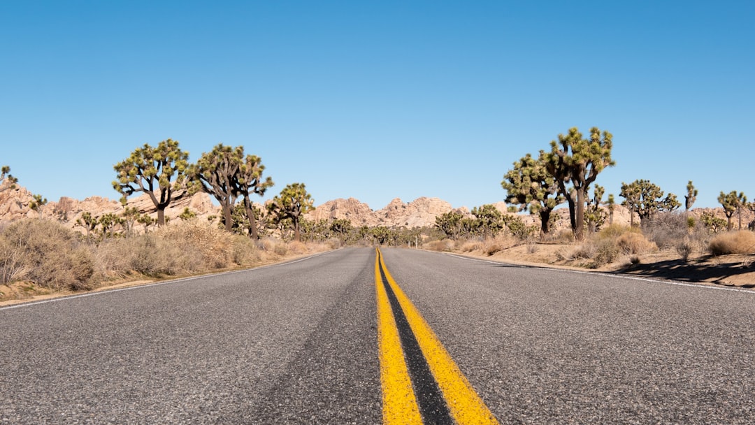 The Road Ahead: A Test Of Utility And Trust
