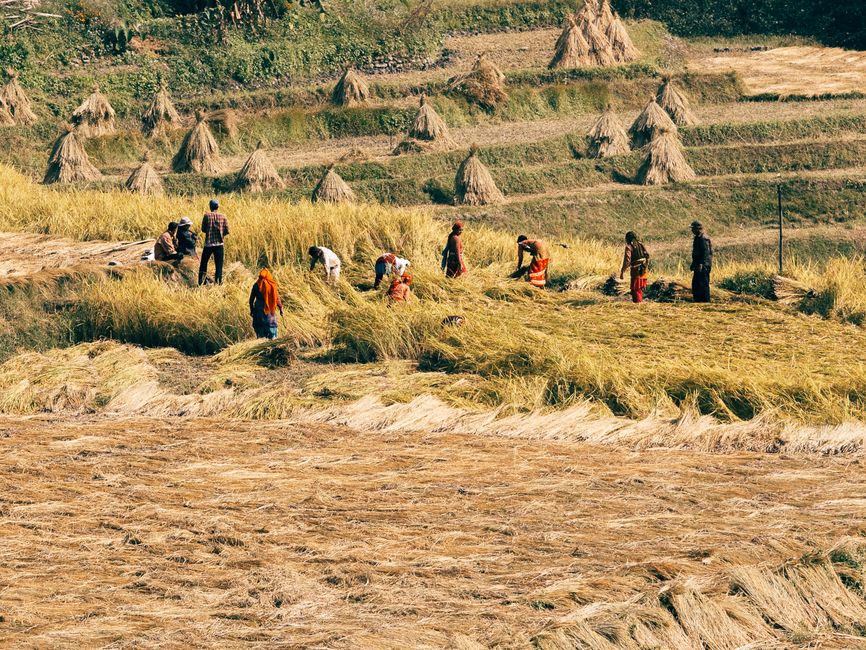 Impact on workers and communities: Prospects and concerns