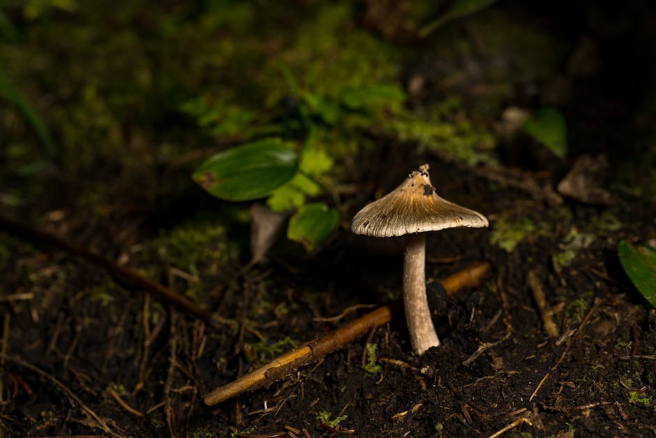 Key metrics to watch in stem (stem) 2025 earnings