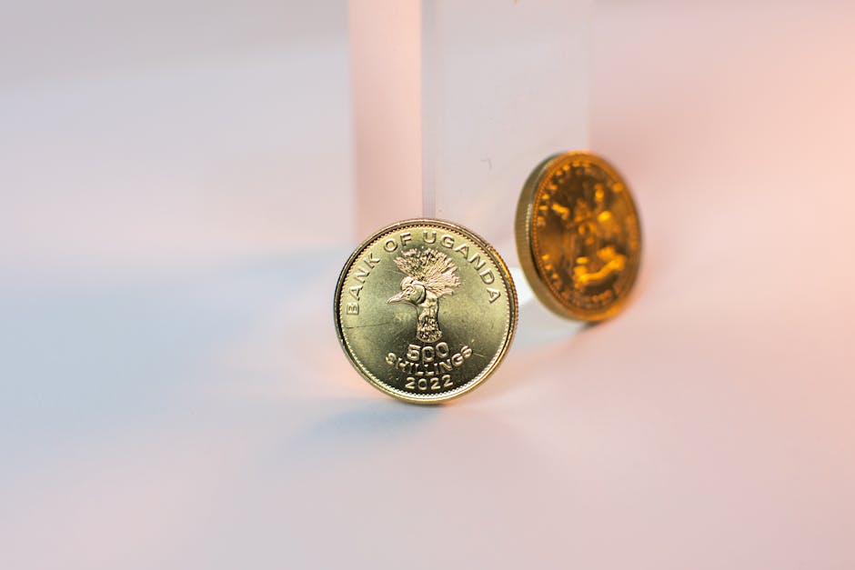 Dissecting the Numbers: What Investors Should Watch Now