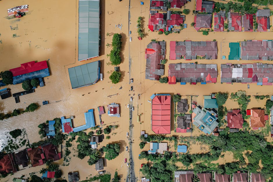 Building a Resilient Plan: Step-by-Step for Beginners and Beyond
