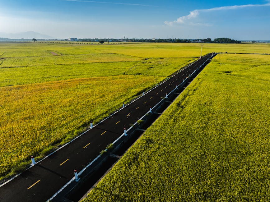 What to Watch Next: The Road Ahead for Cisco