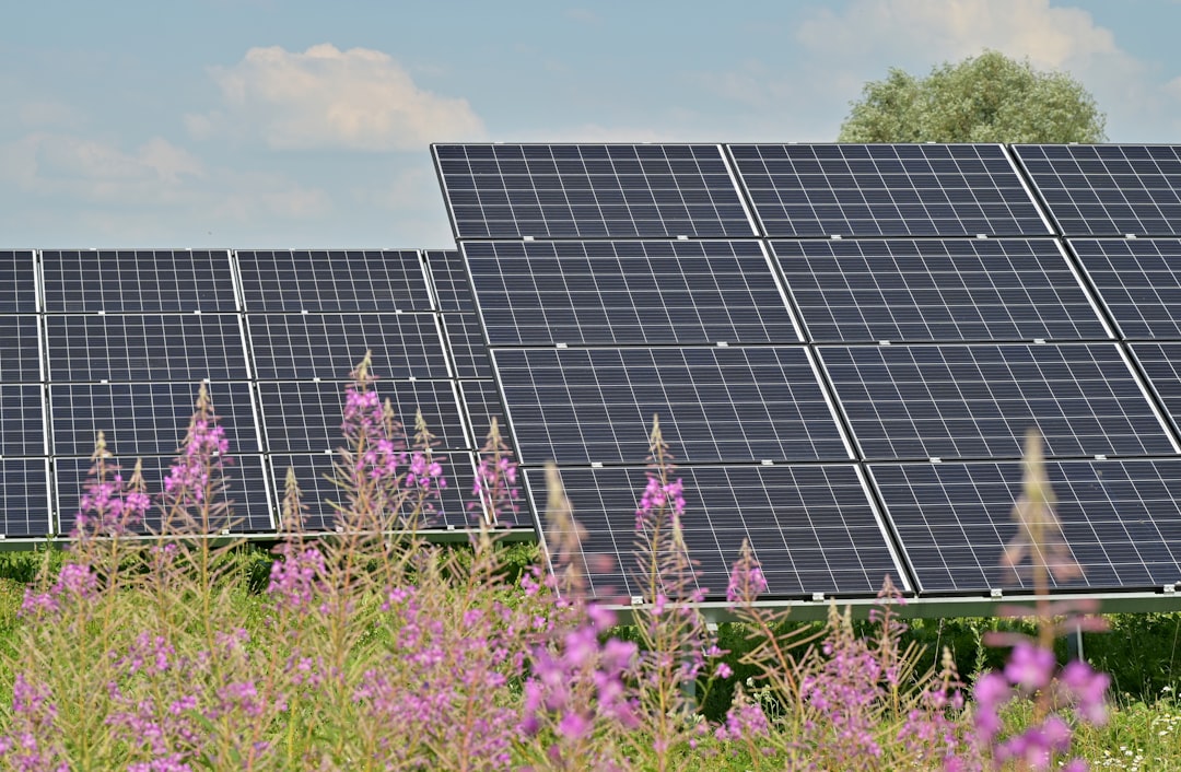 Case Study: A Solar Module Supplier Under Spotlight Without Naming Names