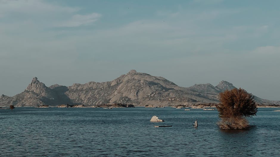 Real-World Examples: Lessons from Recent Media Deals