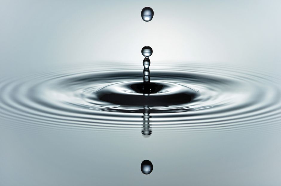 Sector Watch: The Ripple Effects