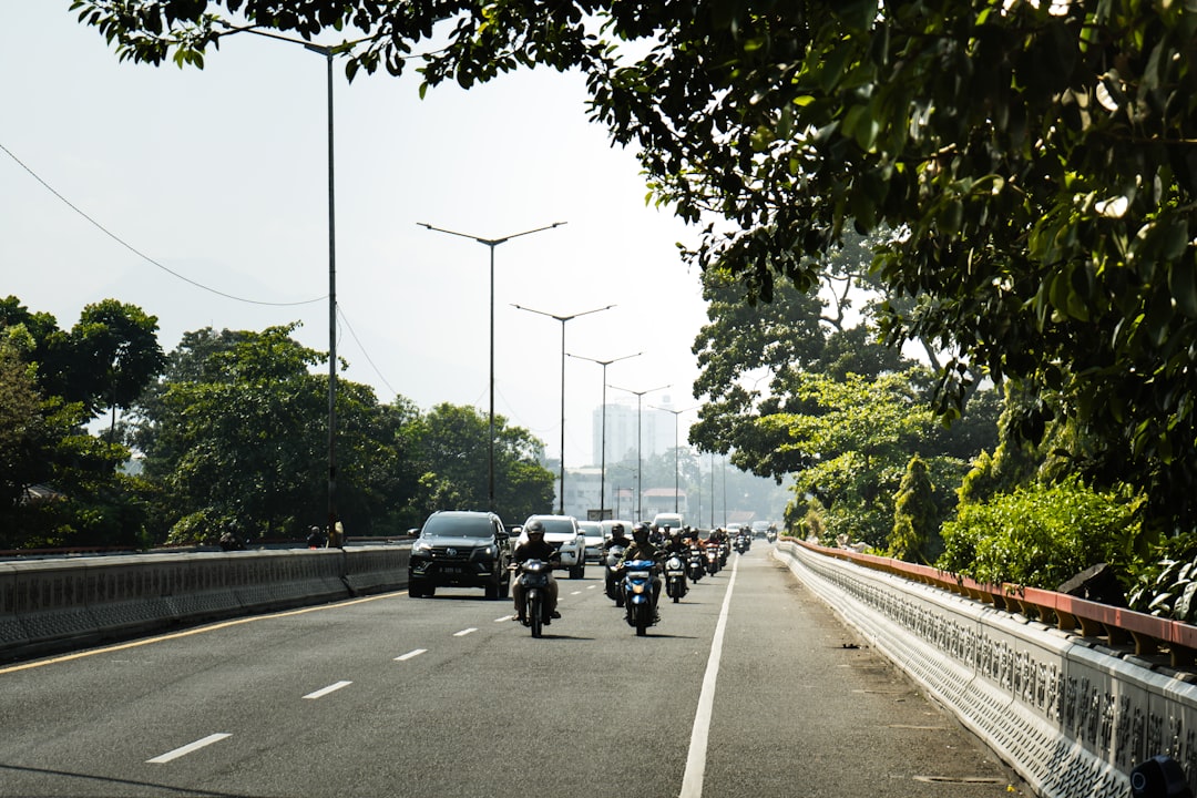 The Road Ahead: What Investors Should Watch Next