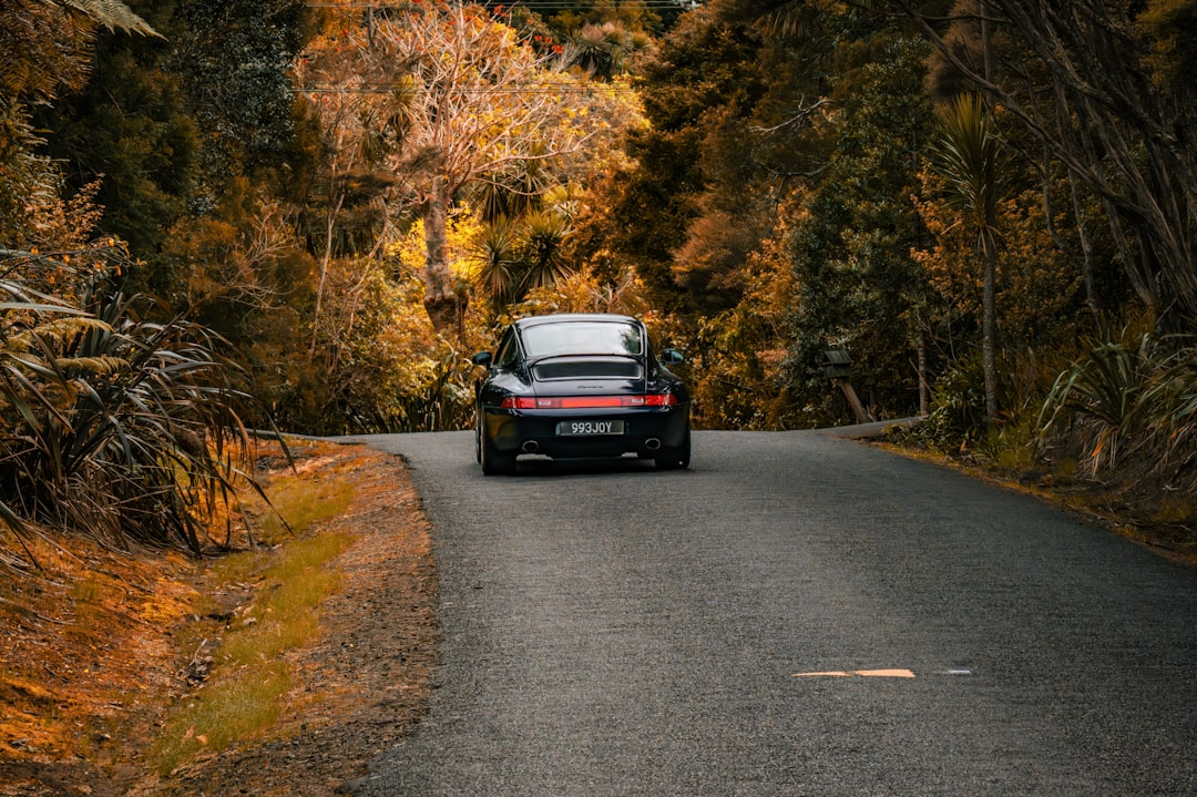 Illustrative Scenarios: What Could Drive Future Performance