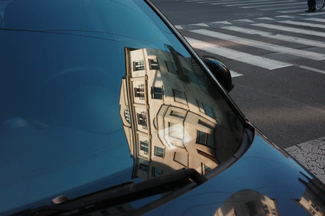 What Is Driving the Morning Rally