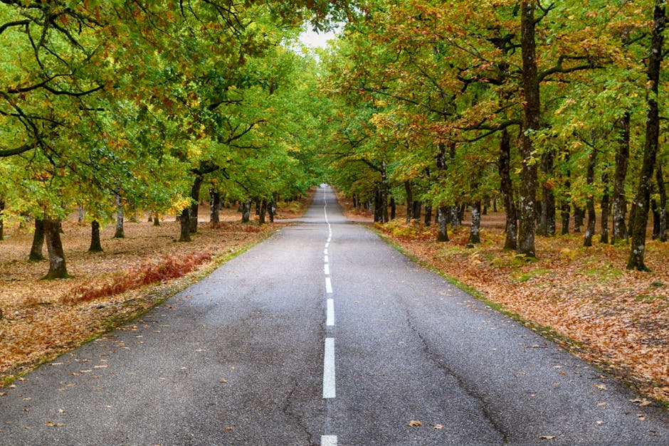 Risks, Oversight and the Road Ahead
