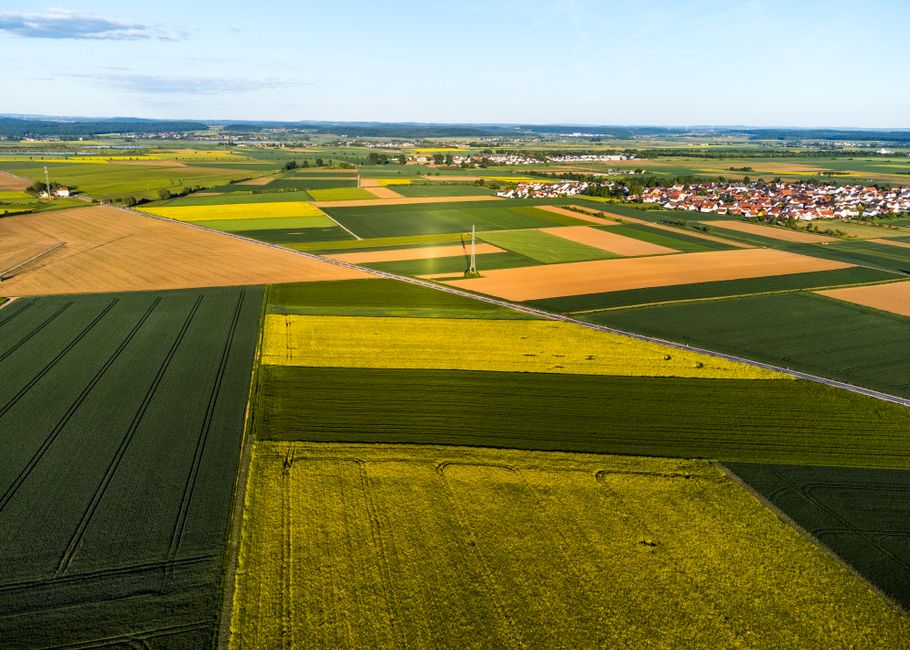 Market Environment and Competitive Landscape