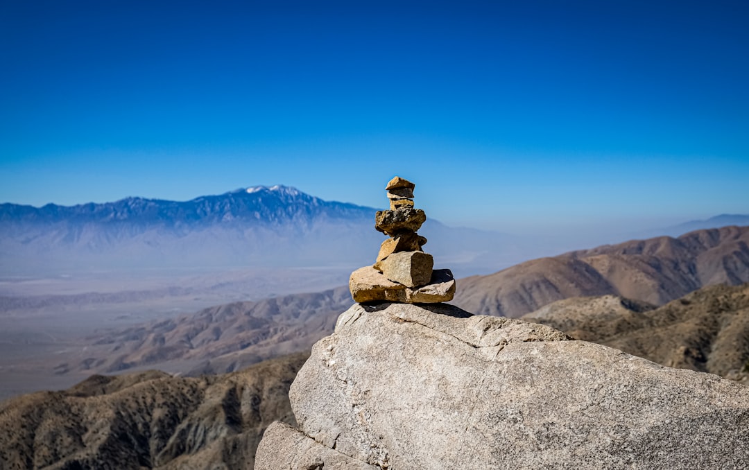 Balancing Risk and Opportunity: A Simple Framework