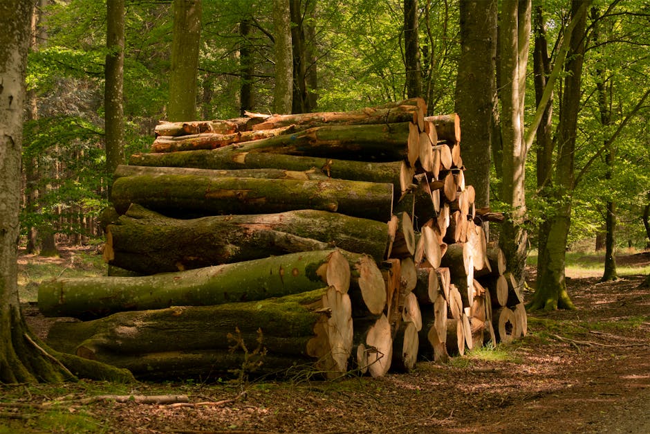 Tri Pointe and Sumitomo Forestry: The Other Side of the Coin