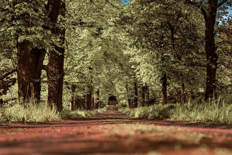 Analyst Perspectives: The Path Forward