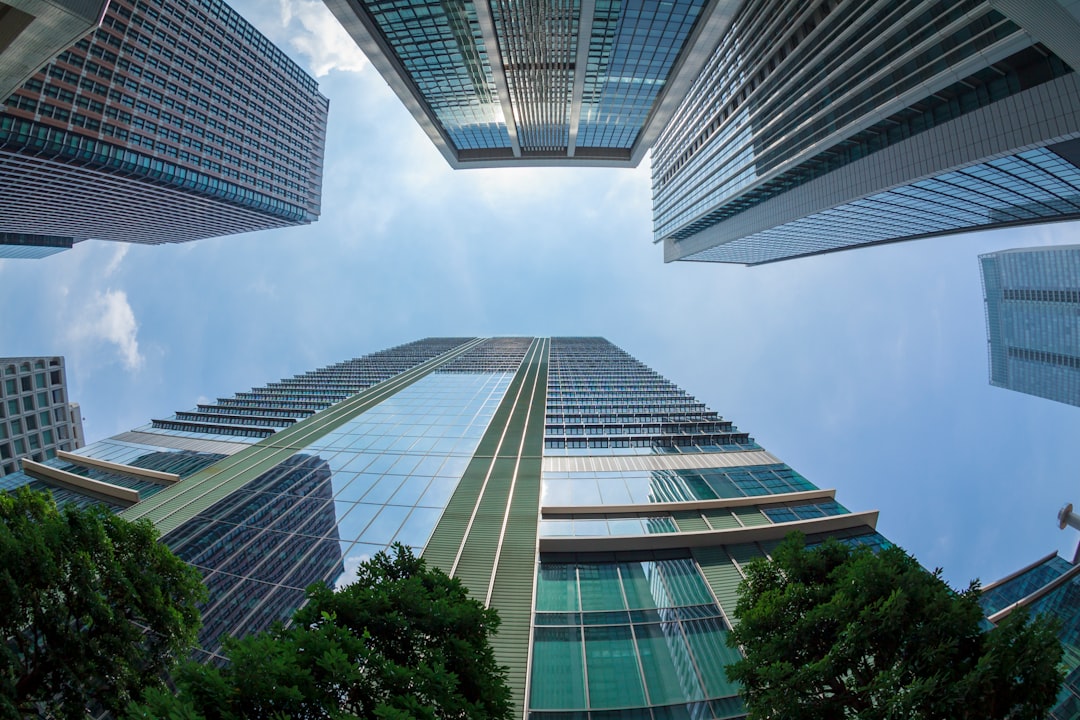 Real‑world examples: how policy shifts could affect your strategy