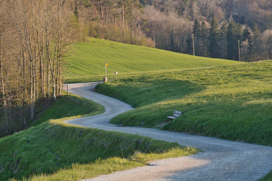 Investor Sentiment and the Path Forward