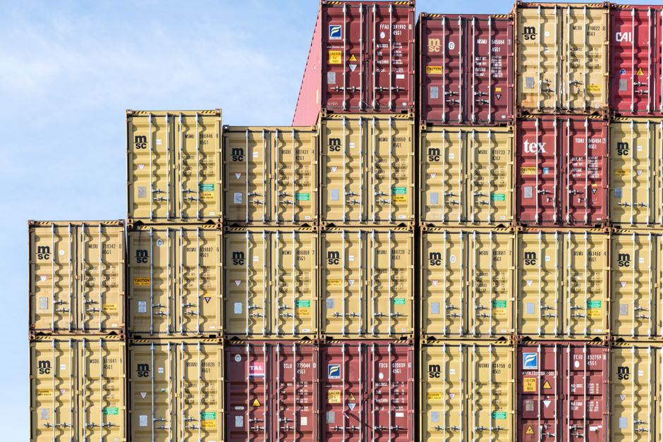 Strategic Pillars: Robotaxis vs. Export Power