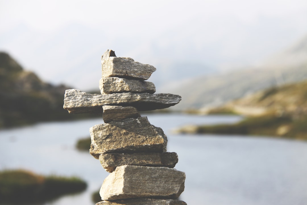 Balancing Risk and Opportunity: A Practical Investor Toolkit