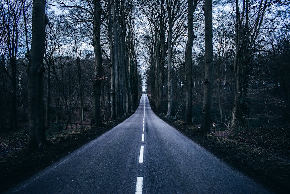 The Road Ahead: What Comes Next for Stablecoins and Audits