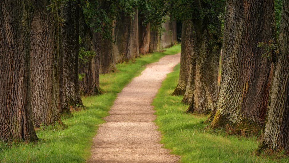 Reliability, risk, and the path forward
