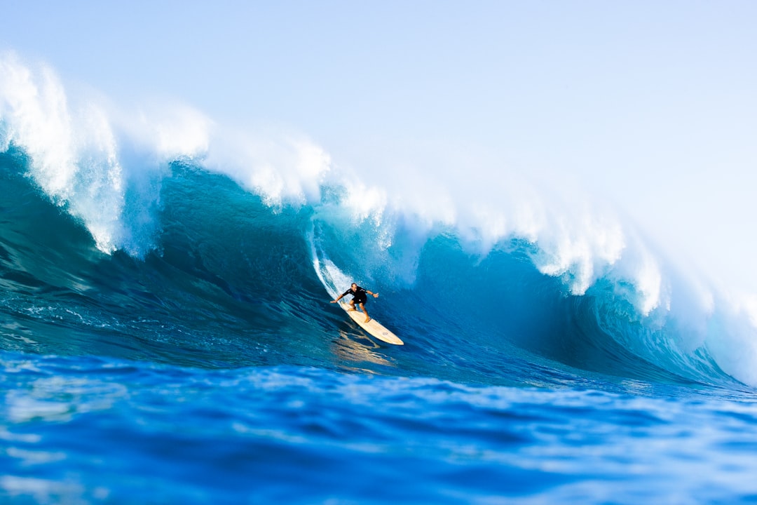 Rivals ride the wave with caution