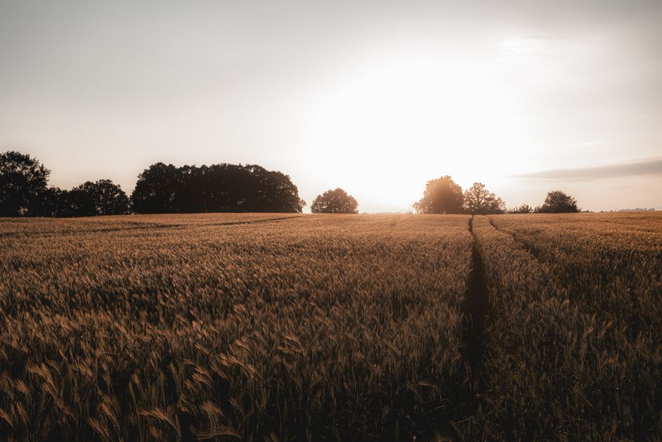 The High-Yield Path: 7% to 9% Yields, But Higher Risk