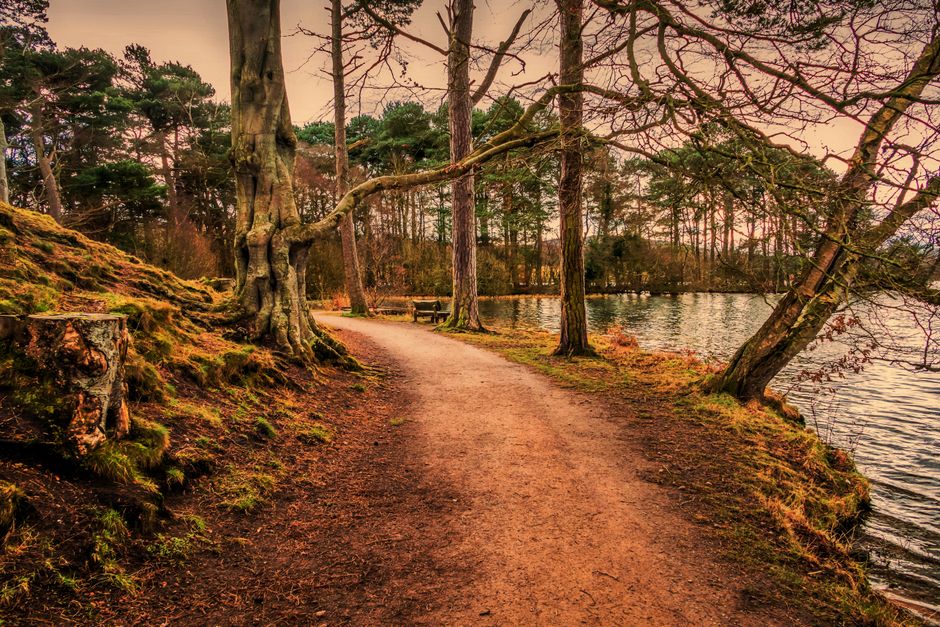 Which Path Fits You?