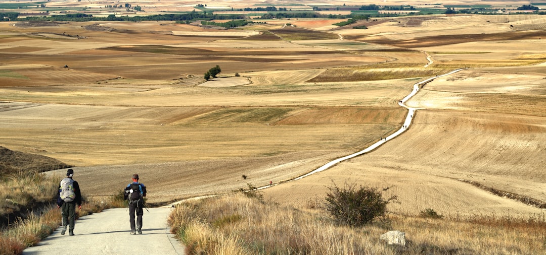 Scenario Planning: Different Paths the Market Could Take