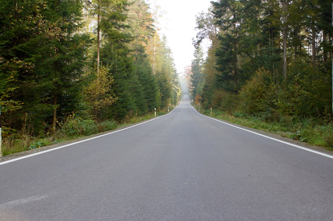 The Road Ahead: What If This Is The First Domino?