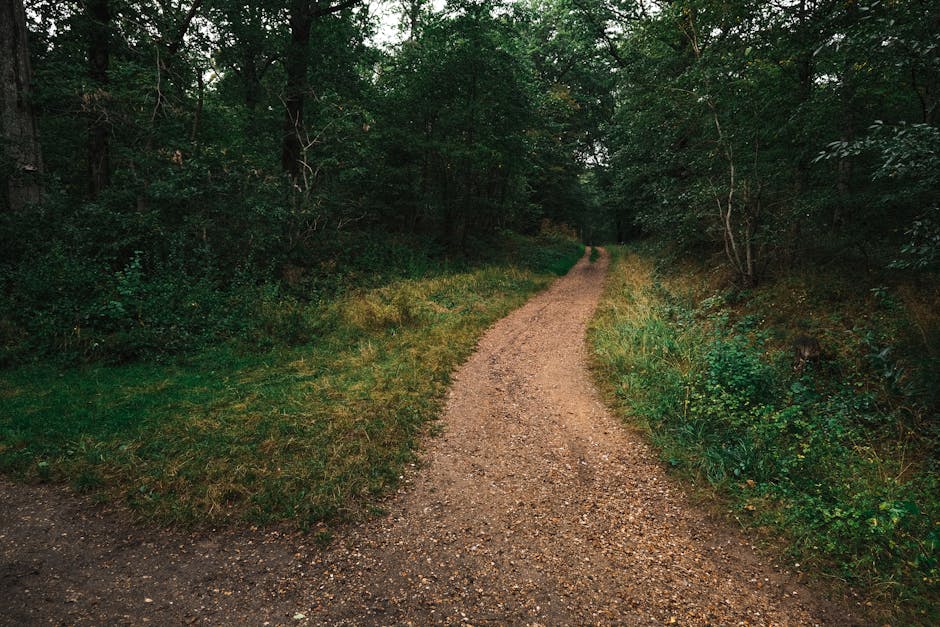 Takeaways for Readers: The Practical Path Forward