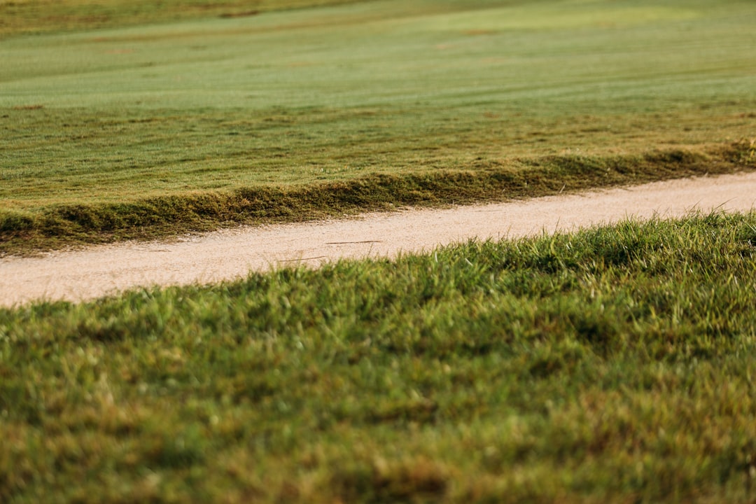 Other Pathways: Moderate and Aggressive Scenarios