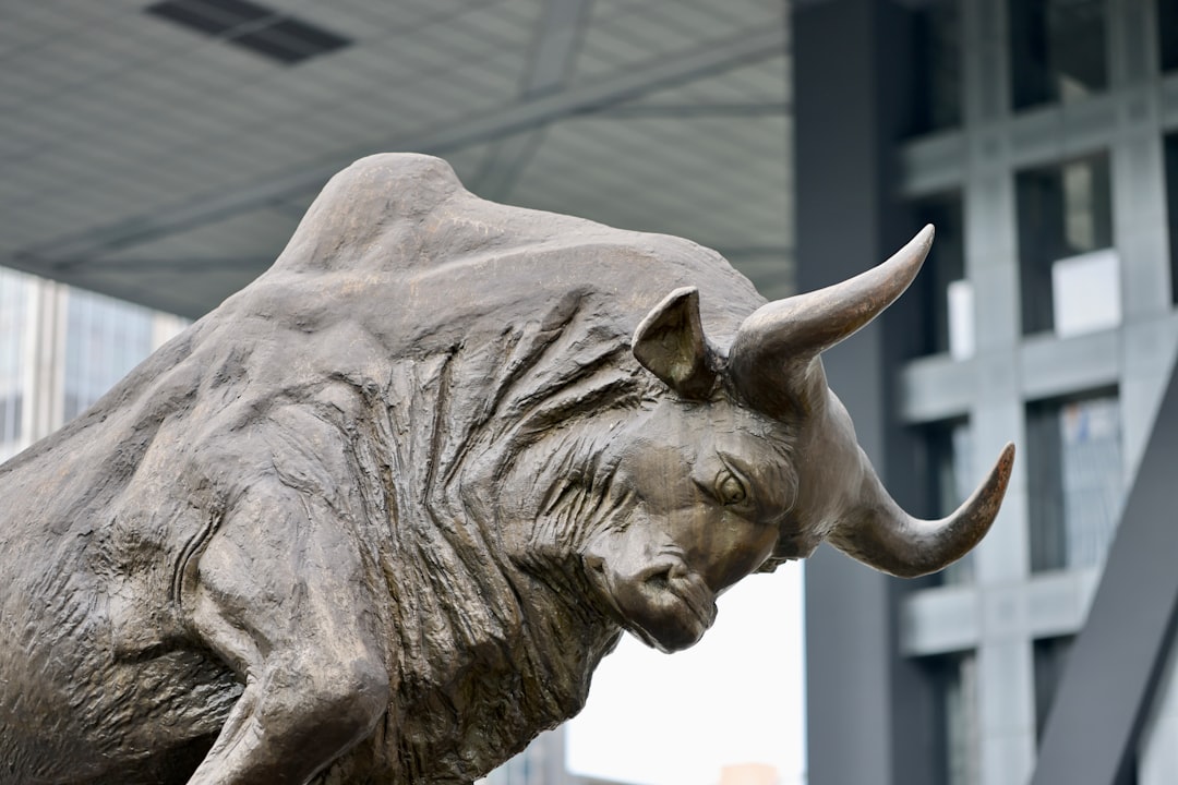 Market Reactions and What It Means for the Road Ahead