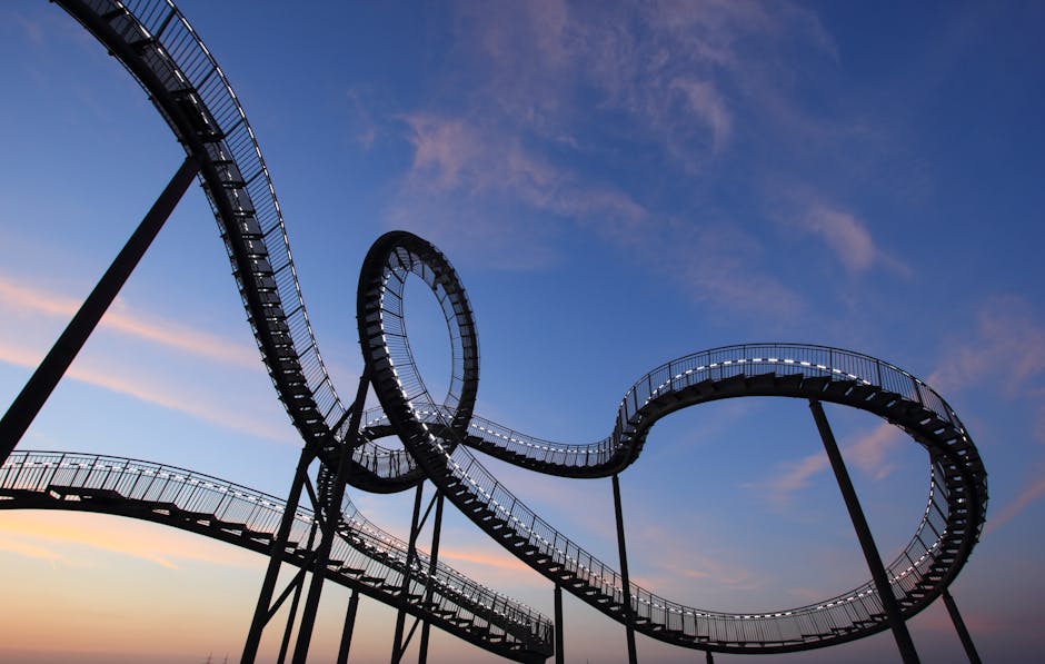 What sets them apart from the hype cycle