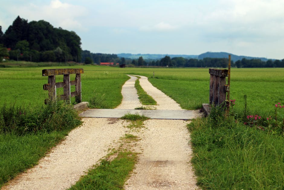 Alternative Paths and Guidance for Prospective Givers