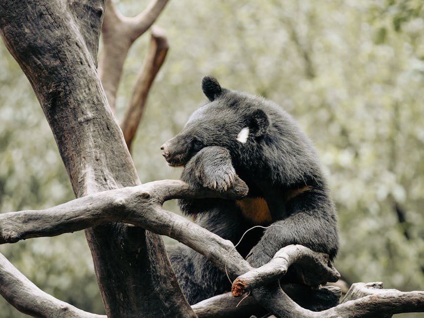 Bear Case: Slow Grind Could Keep XRP Slotted Between $1 and $2